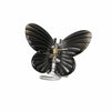 Hair Clip Ps Material Gradient Butterfly Shark Style Baking Paint Women's