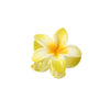 Hair Shark Clip Gradient Flower Baking Paint Women's Fashion Plant Flowers