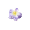Hair Shark Clip Gradient Flower Baking Paint Women's Fashion Plant Flowers