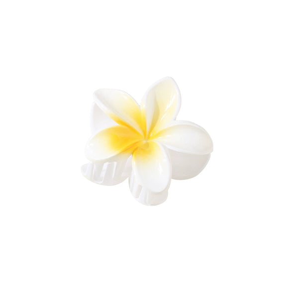 Hair Shark Clip Gradient Flower Baking Paint Women's Fashion Plant Flowers