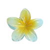 Hair Shark Clip Gradient Flower Baking Paint Women's Fashion Plant Flowers