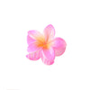 Hair Shark Clip Gradient Flower Baking Paint Women's Fashion Plant Flowers
