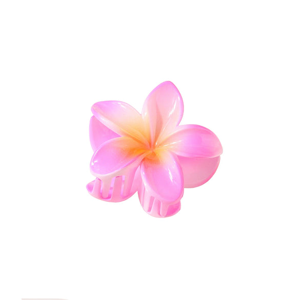 Hair Shark Clip Gradient Flower Baking Paint Women's Fashion Plant Flowers
