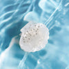 Hairpin Acrylic Small Fresh Style Handmade Women's Sea Shell Hair Accessories