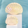 Hairpin Plastic Resin Vacation Style Electroplating Shell Women's Hair Accessories