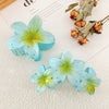 Handmade Highend Feel Plumeria Women's Hair Claw Clip Set