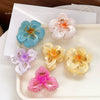 Handmade Natural Plant Flower Hollow Egg Hair Clip For Women