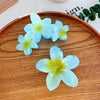 Highend Flower Claw Clip Set With Baking Paint Plumeria Pattern Women's Hair Accessory