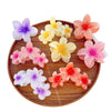 Highend Flower Claw Clip Set With Baking Paint Plumeria Pattern Women's Hair Accessory