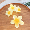 Highend Flower Claw Clip Set With Baking Paint Plumeria Pattern Women's Hair Accessory