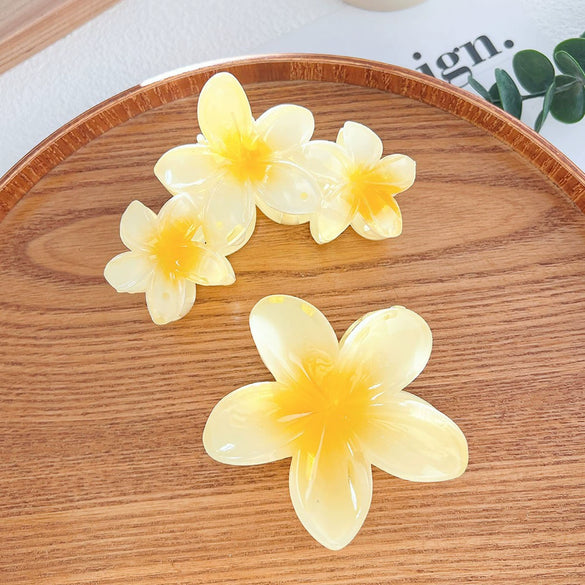 Highend Flower Claw Clip Set With Baking Paint Plumeria Pattern Women's Hair Accessory