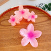 Highend Flower Claw Clip Set With Baking Paint Plumeria Pattern Women's Hair Accessory