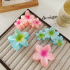 Highend Flower Claw Clip Set With Baking Paint Plumeria Pattern Women's Hair Accessory