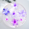 Highend Plumeria Women's Hair Clip Injection Molding Hair Accessories