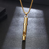 Hip-Hop Simple Style Whistle 304 Stainless Steel Plating 18K Gold Plated Unisex Pendant Necklace
