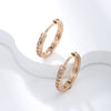 Jewelry Copperzinc Alloy Geometric Simple Electroplated Women's Earrings