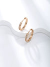 Jewelry Copperzinc Alloy Geometric Simple Electroplated Women's Earrings