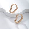 Jewelry Copperzinc Alloy Geometric Simple Electroplated Women's Earrings
