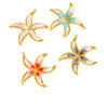 Jewelry Pendant Bracelet Necklace Earrings Starfish Titanium Steel Stainless Steel Dripping Oil