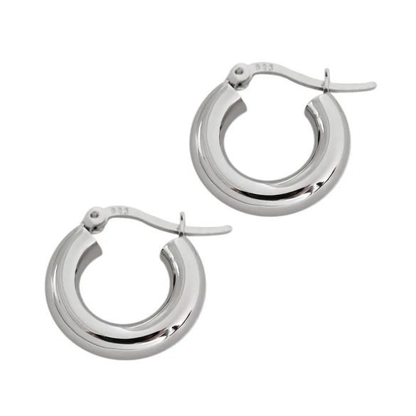 Korean S925 Sterling Silver Geometric Circle Earrings Wholesale