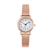 Ladies Casual Quartz Watch With Alloy Case Round Small Dial And Belt Strap
