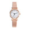 Ladies Casual Quartz Watch With Alloy Case Round Small Dial And Belt Strap