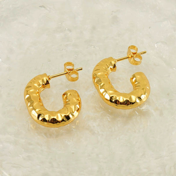 Ladies 316L Stainless Steel U Shaped Electroplated Earrings