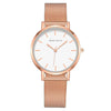 Ladies Watch Stainless Steel Mesh Belt Metal Dial Fashion Style