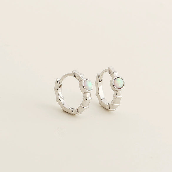 Light Luxury Geometric S925 Silver Electroplated Earrings For Women