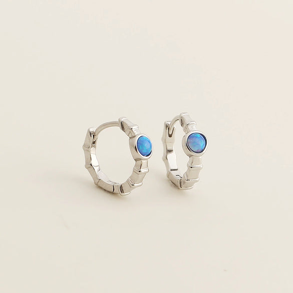 Light Luxury Geometric S925 Silver Electroplated Earrings For Women