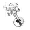 Lip Nail Piercing Earrings Stainless Steel Heart Shape Gold Electroplated