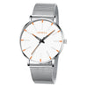 Men's Alloy Mesh Strap Quartz Watch With Colorful Round Dial And Ordinary Crown