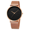Men's Watch Zinc Alloy Business Style Multicolor