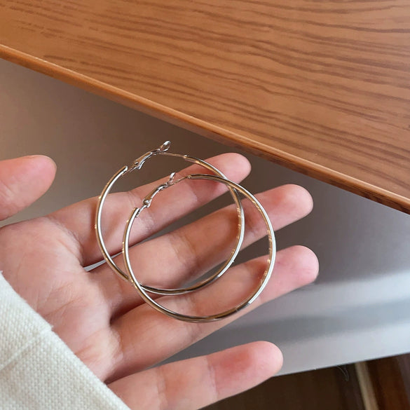Metal Geometric Hoop Earrings Highend Luxury Electroplating Style For Women