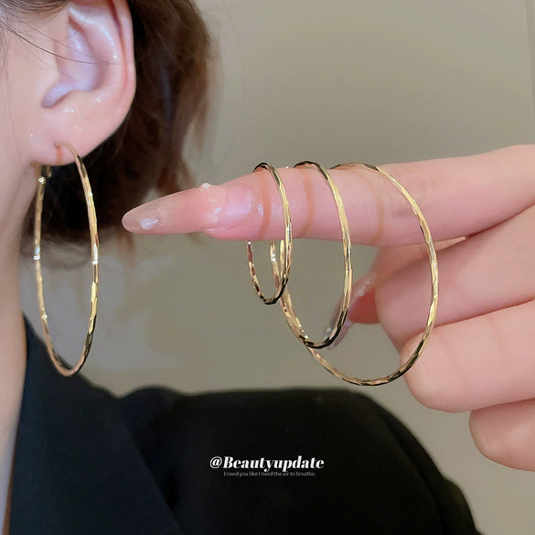 Metal Geometric Hoop Round Earrings For Women With Electroplating