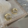 Metal Needle Design Pleated Geometric Electroplated Women's Earrings