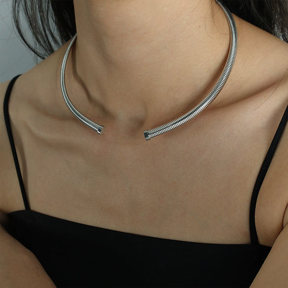 Metal Snake Pattern Earrings And Necklaces Set 316L Stainless Steel Retro Style