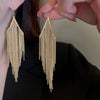 Metal Tassel Earrings With Flower Pattern Electroplated In Silver Needle Style Fashion Light Luxury Cold Retro Allmatch Highend For Women