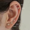 Mini Flower Earrings For Women Copper White Gold Gold Color Four Leaf Clover Sweet Fresh Trend Jewelry