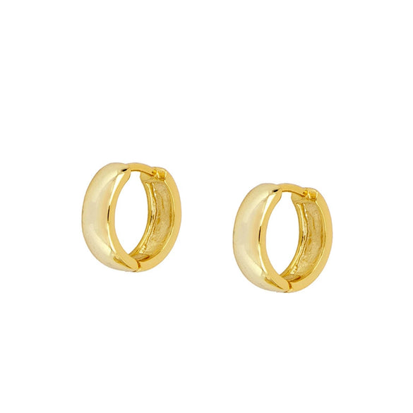 Minimalist Geometric Inlaid Zircon Women's Earrings