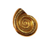 Minimalist Hiphop Conch Thread Ring And Elegant Bracelet In Stainless Steel With Heart Shape And Electroplating Treatment