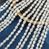 Naked Freshwater Pearl Specialshaped Doublesided Light Straight Hole