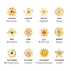 Necklace Pendant Birth Flower Geometric Titanium Steel 18K Goldplated Electroplated