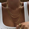 Necklace Stainless Steel Ushaped Ins Style Snake Bone Chain Electroplating