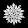 Occident Alloy Plating Brooch Nhdr0839