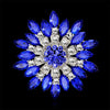 Occident Alloy Plating Brooch Nhdr0839