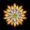 Occident Alloy Plating Brooch Nhdr0839
