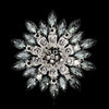 Occident Alloy Plating Brooch Nhdr0839