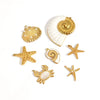 Ocean Style Starfish Shell Stainless Steel Jewelry Accessories Pendant Necklace Bracelet Electroplated