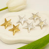 Ocean Style Starfish Stainless Steel Earrings For Women With Electroplating Animal Pattern And Casual Style